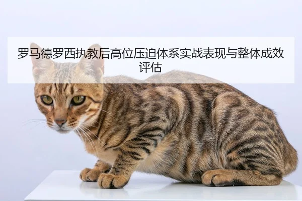 罗马德罗西执教后高位压迫体系实战表现与整体成效评估